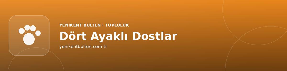dort ayakli dostlar