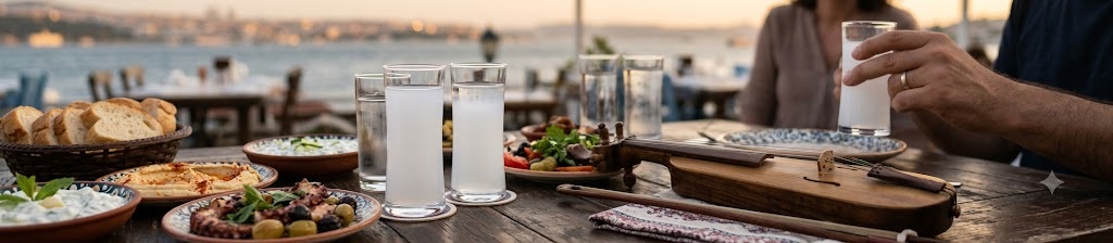 Volkan Sarı kapak görseli