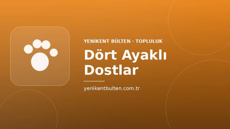 topluluk dort ayakli dostlar