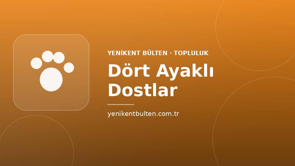 topluluk dort ayakli dostlar